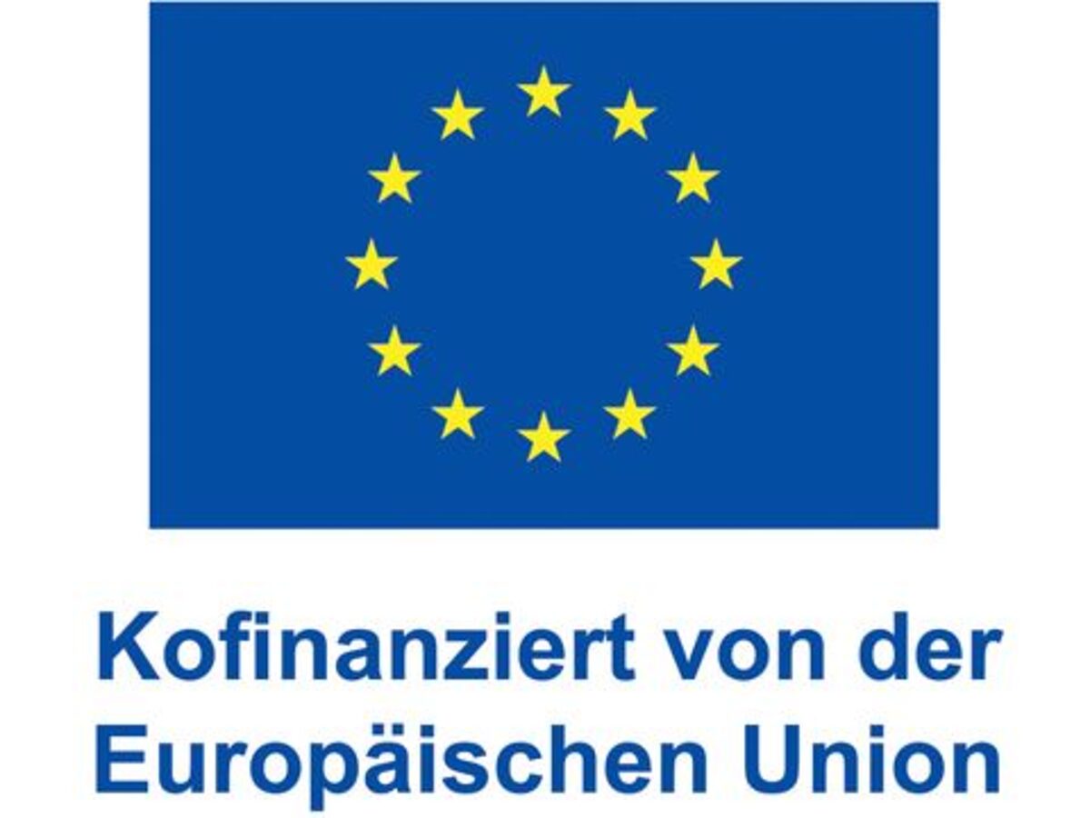 EU-Logo-kofinanz
